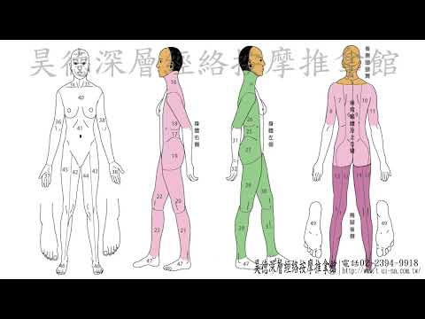 0全身經絡按摩教學影片簡介