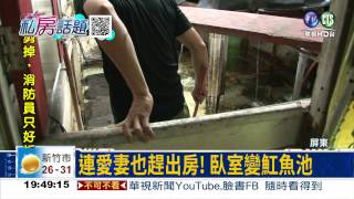 男愛魟魚成癡! 整屋養滿70尾