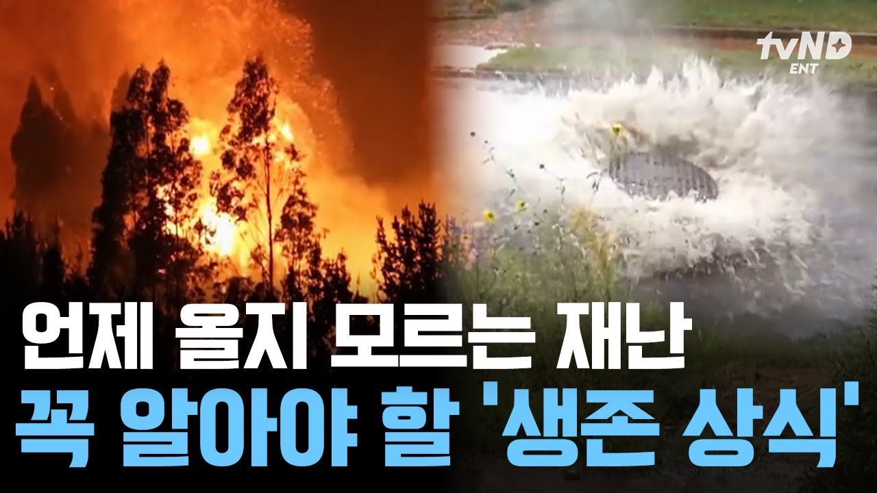 [#프리한19] 반드시 알아야 할 재난 대응 매뉴얼⛑️ 막을 순 없지만 대비는 할 수 있는 #자연재해🌍