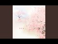 樱花树下的约定 樱花树下的约定