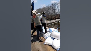 Pejuang keluarga Mencari Nafkah #shorts #viral #keluarga