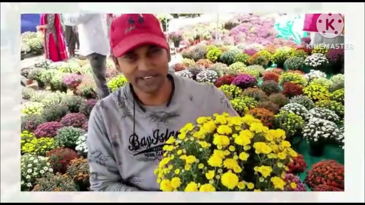 flower show vijayawada YouTube