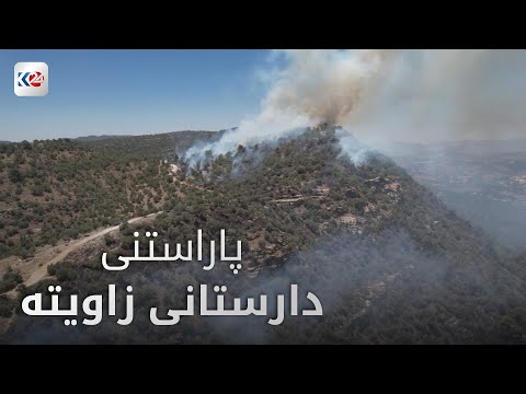 دارستانی زاویتە بە سیەکانی دهۆک دادەنرێت