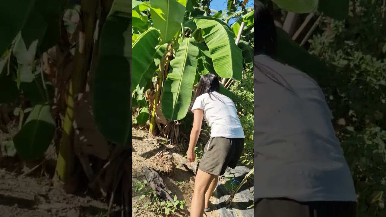 Probinsyanang peyang nag enjoy sa kamatisan😅 