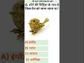 सोने की चिड़िया🤔Gk questions | gk quiz | gk | #shorts