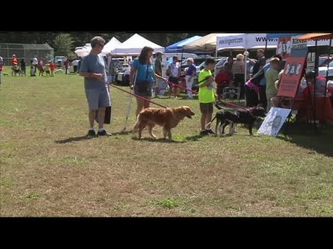 Dog park proposed