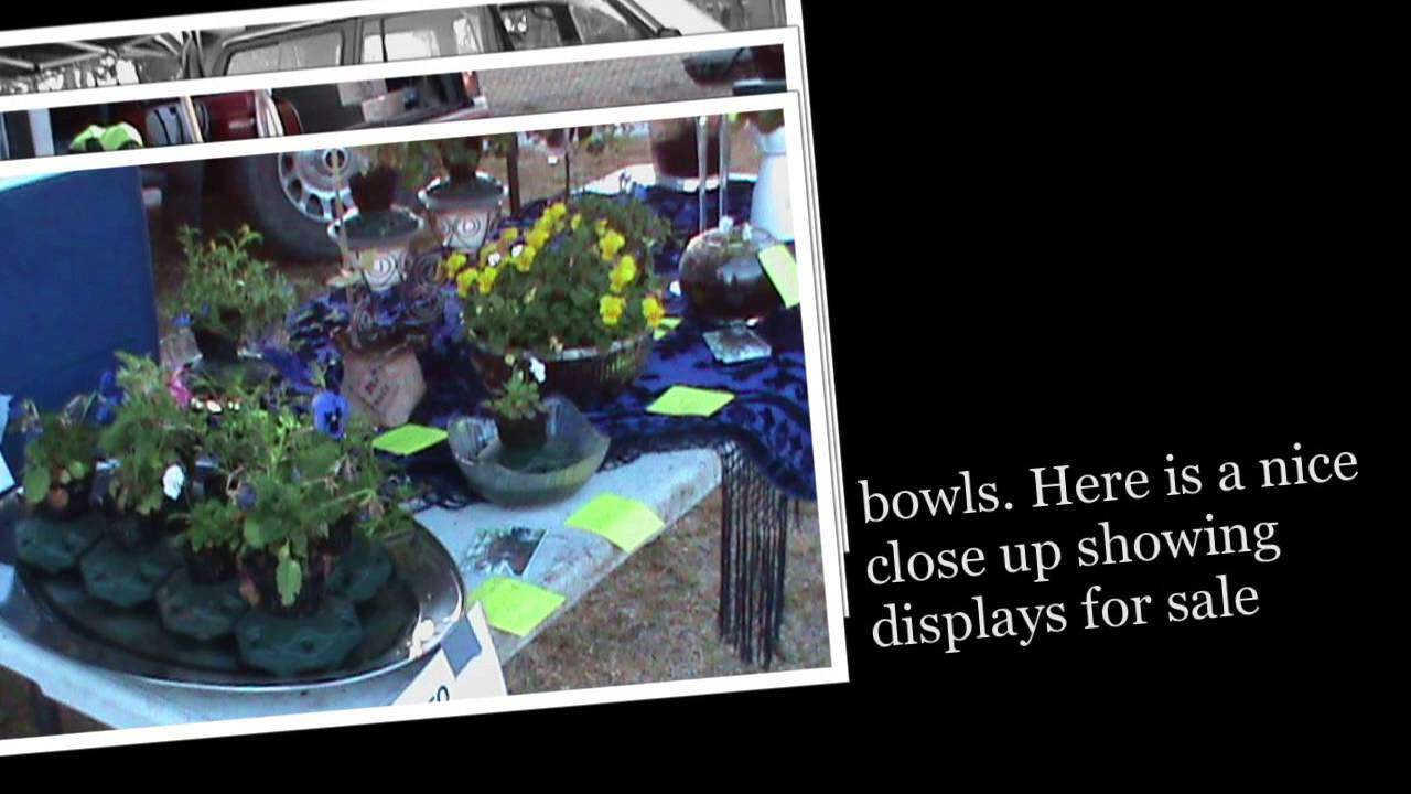 aquaponics - youtube