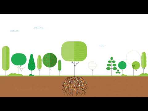 Video: Jak používáte půdní kondicionér Bobcat?