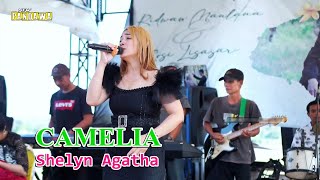 CAMELIA - SHELYN || OM PANDAWA