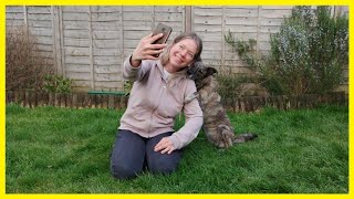 How To Teach Your Dog  To Take Selfies With You