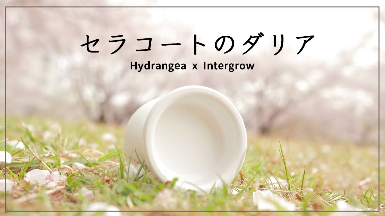Just before release? Cerakote White Dahlia Special / Yoyo's new