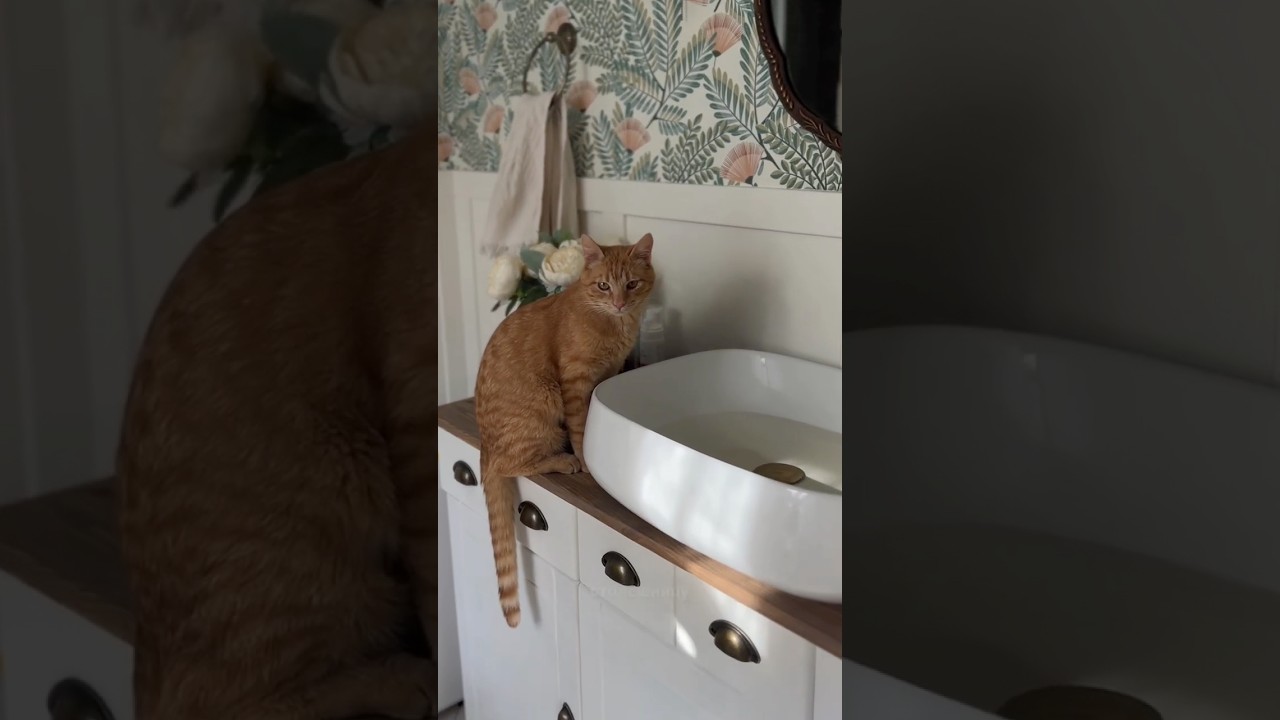 См. Закрепленный комментарий 