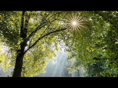 Video ☀️VỊ TRÍ CỦA BẠN TRONG TRÁI TIM HỌ • HỌ THẬT SỰ CẢM... - youtube
