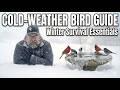 Your Bird Feeder is a Lifeline: Survival Tips for Snowstorms ❄️