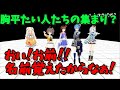 「共通点は胸平たい人」のコメントにキレだすホロライバー達　【ホロライブ　桃鈴ねね　夏色まつり　ときのそら　星街すいせい　天音かなた】