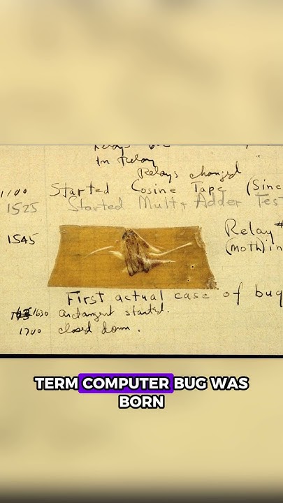 The First Computer Bug Was a REAL Insect?! 🐛💻 - YouTube