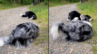 They Met And Became Best Friends Within Seconds