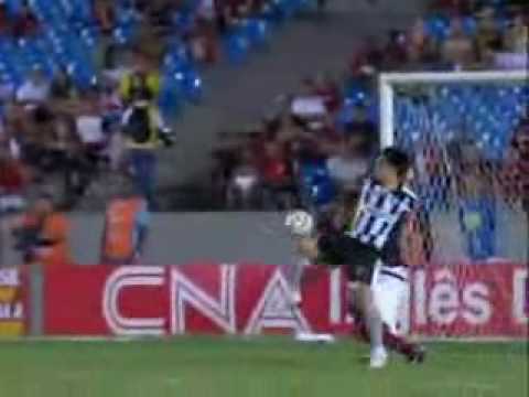 Os gols do Botafogo 2010 - Flamengo 1 x 2 Botafogo...