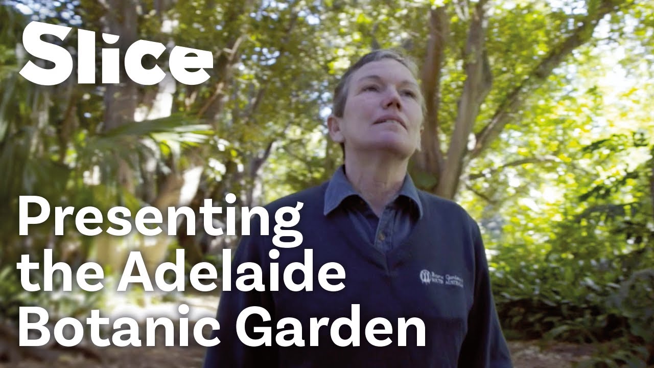 Film backdrop image for Behind the Scenes of Adelaide's Botanic Garden (2020)