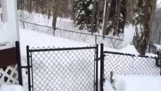 2014 Snow