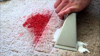 how to remove watercolor paint from carpet 2