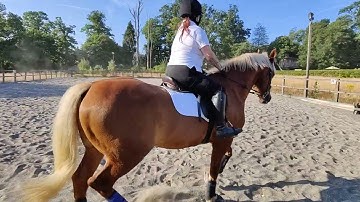 British Dressage Introductory A (2008) test