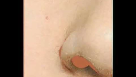 Infinite Painter- How to make vector art using cp | Yen Santos