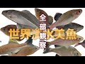 世界の美しい外国産タナゴを養殖！マクロ撮影で種類別に紹介/そんな珍しいタナゴが釣り堀で釣れる！