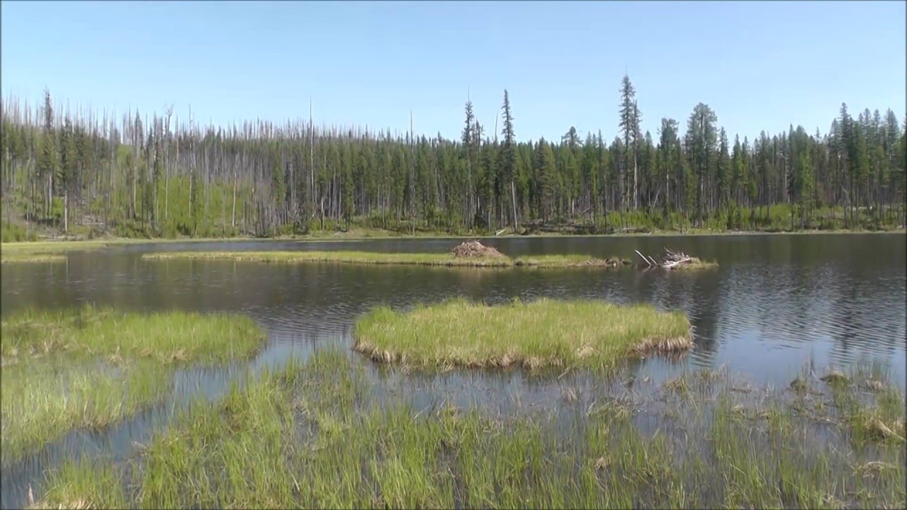 Howe Lake Howe Lake Trail, Glacier National Park, Montana - YouTube