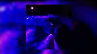 FRENCH POLICE - DUTCH [ AUDIO]