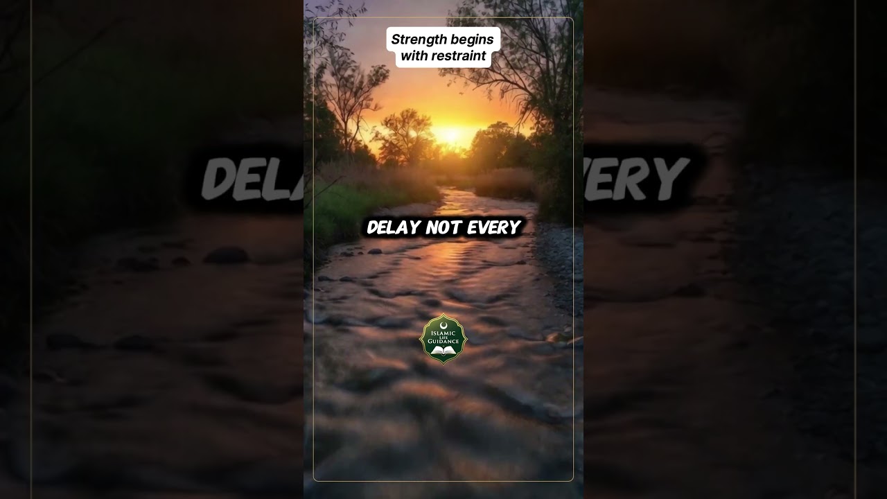 Pause Before You React | Islamic Wisdom on Patience | 