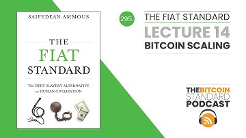 295. The Fiat Standard Lecture 14: Bitcoin Scaling