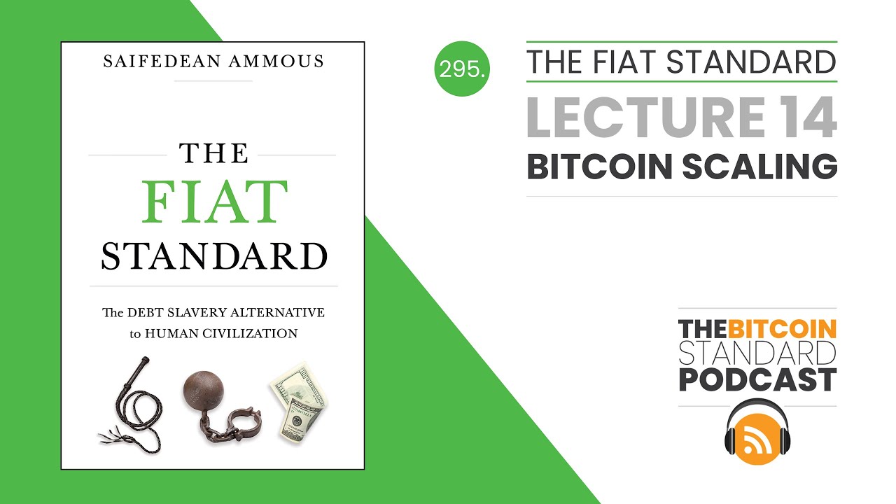 295. The Fiat Standard Lecture 14: Bitcoin Scaling
