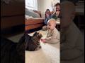 猫の声真似で猫と話しているような赤ちゃん👶🐈#cat #cats #baby #cute #funny #shorts #catvideos #赤ちゃん #猫