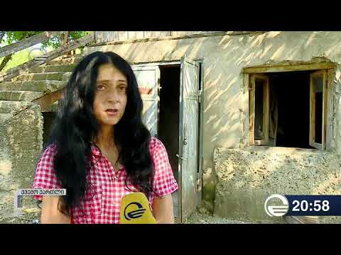 ქვემო ქართლში ქვეწარმავალმა ორი ადამიანი დაგესლა