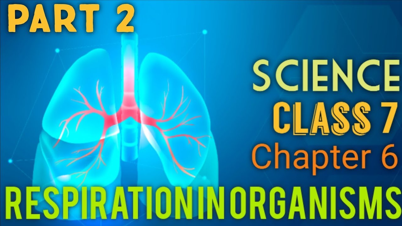 n-c-e-r-t-science-class-7-chapter-6-respiration-in-organisms