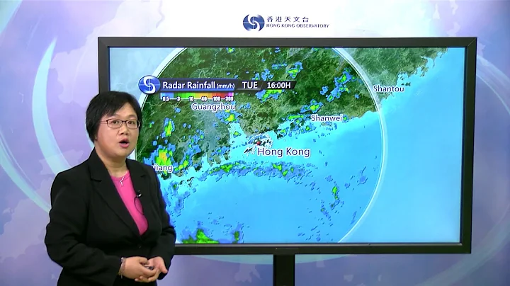 Central Briefing (5:00 pm 14 Aug) - Lee Shuk Ming, Senior Scientific Officer - DayDayNews