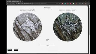 Introduction to Virtual Microscope (2020)