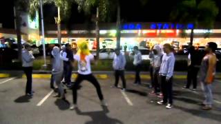 Harlem Shake (Adamson ECE Veterans V.1)