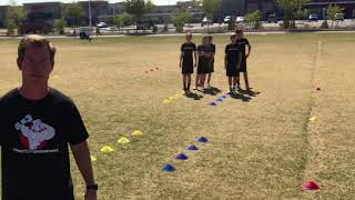 Cone Jumps Forward 2 Back 1 Into Sprint  / Football Speed Drills
