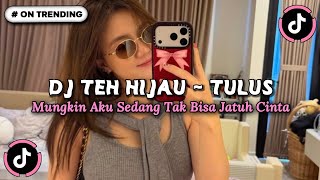 DJ TULUS - TEH HIJAU | MUNGKIN AKU SEDANG TAK BISA TAK BISA JATUH CINTA SLOW FULL BASS VIRAL TIKTOK!