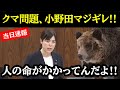 【小野田紀美】人の命を見捨てる政府の怠慢に”小野田”がブチギレる!!クマの脅威から国民を守る自民最後の希望!!#石破茂 #自民党 #高市早苗 #玉木雄一郎 #れいわ新選組