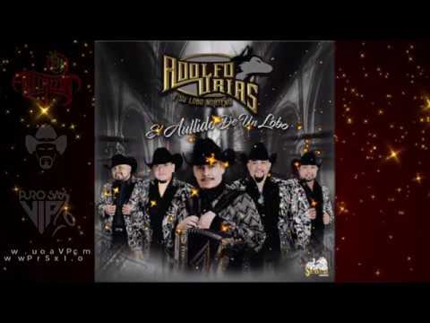YouTube에서 Adolfo Urias y Su Lobo Norteño - Me Enamoré / 2020 보기