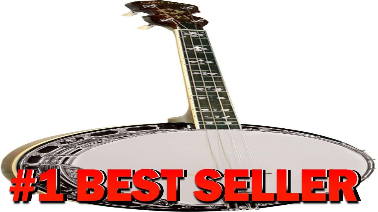 Gold Tone TS 250 Tenor Special Tenor Banjo (Vintage Brown) - B002RARBVM