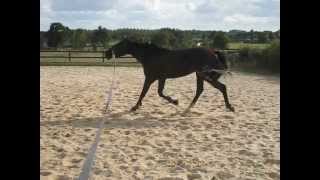 Scarlett Le 26 Aout 2012 - 2