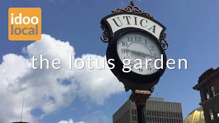 The Lotus Garden