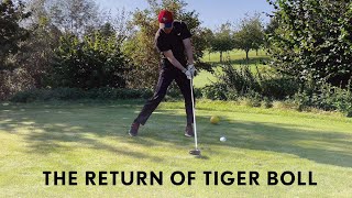 Vlog - The return of Tiger Boll