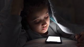 News 10 Investigates: Mid-Michigan advocates push for legislative action to protect kids from onl...
