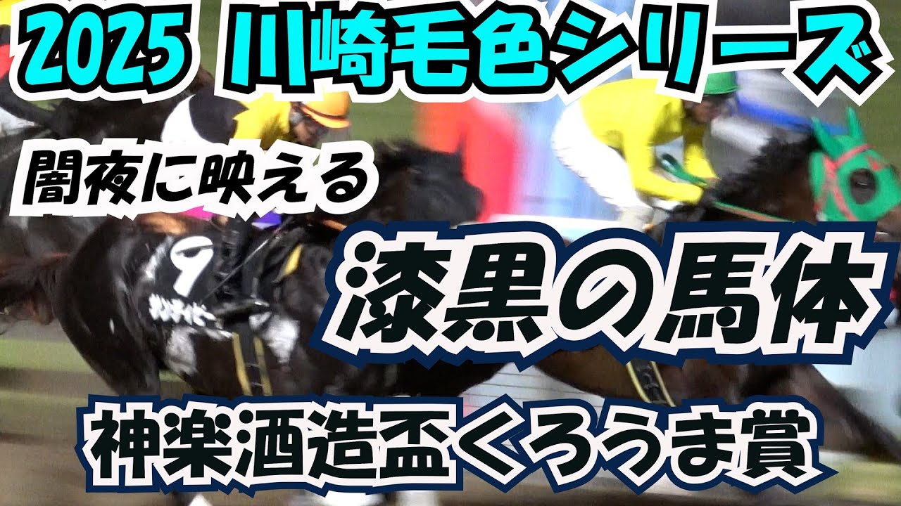 川崎毛色シリーズ】 第2戦 闇夜に映える漆黒の馬体 青毛 青鹿毛 黒鹿毛
