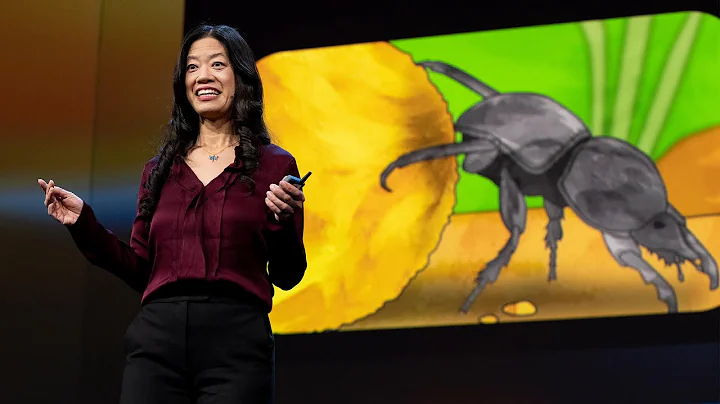 Are Insect Brains the Secret to Great AI? | Frances S. Chance | TED - DayDayNews